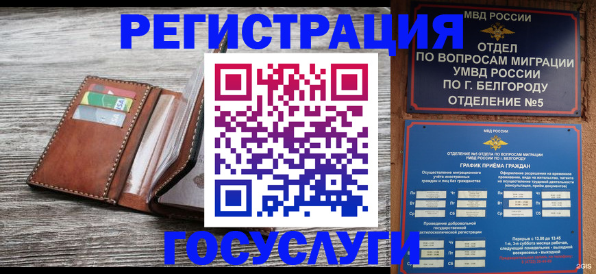 временная регистрация гарантия в Михайлове